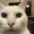 yeswhiskas