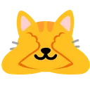 nsfn