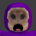 shockedcapuchin shockedcapuchin