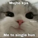 p_singlehu