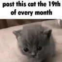 ninteenthofthemonthcat