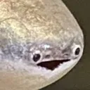 sacabambaspis