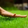 touchgrass