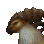 pathrunnerani