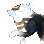protoformani