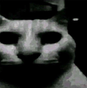 evil evil