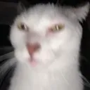highkeyla