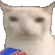 cateat cateat