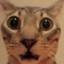 gasp