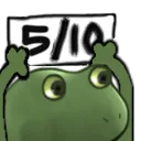 midfrog