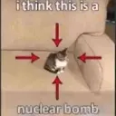 thiscatisanuke Discord Emoji