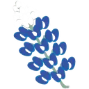 Blue Bonnet Discord Emoji