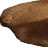 FatCat1