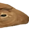 FatCat3