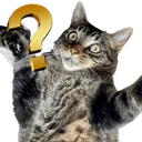 mikaIdk mikaIdk