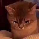 grr