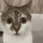 kit_Aware