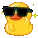 DuckGlasses