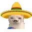muchogatofast