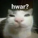hwar
