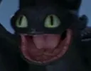 Toothless_goingcrazy