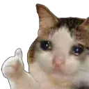 sedthumbsup