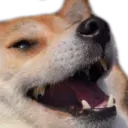 Doglaugh doglaugh Discord Emoji