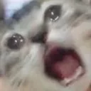 crycat