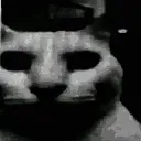 catdespair