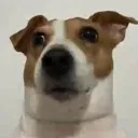 huh