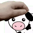 Petthecow