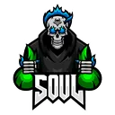 Team_Soul