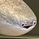 Feesh Feesh