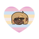 igorcharic igorcharic