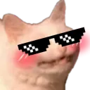CC_Cool