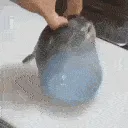 Lepufferfish