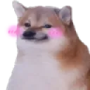 cheemsblush