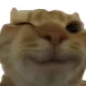 Catwink catwink Discord Emoji