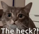 _TabTheHeck