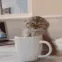 eepy