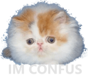 confus Discord emoji