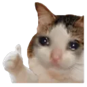 Cat Thumbs Up catthumbsup Discord Emoji