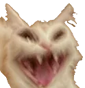 catscream