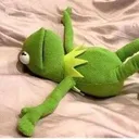kermitsleep