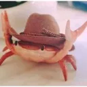 CRABE CRABE