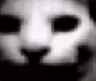 doomed doomed
