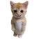 Catstand catstand Discord Emoji