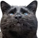 Heximer Heximer