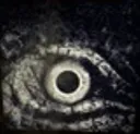il_eye