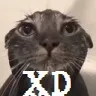 TLS_XD